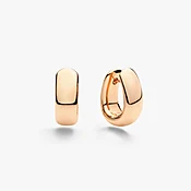 Iconica Earrings