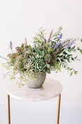 Succulent Shebang