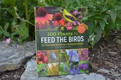 100 Plants to Feed the Birds