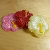Bob's Favorite Hibiscus Soap Set