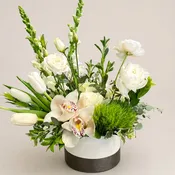 Grace in Bloom