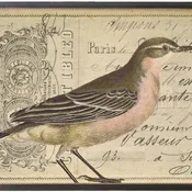 Pink and Brown Bird On Vintage French Document