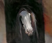 Drum Horse by N.A. Noël
