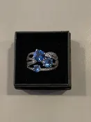 The Sterling Club Ring