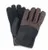 Pistil Men's Ridge Glove