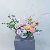 Peach Dahlia