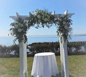 ARBOR