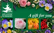 Atlantic Nursery Gift Card