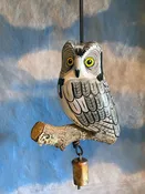 Screech Owl