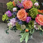 The Garden Rose