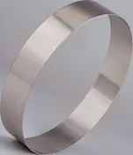 Stainless Steel Casting Ring