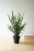 Artificial Fern in a Black Plastic Pot