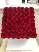 49 RED ROSES THAT LAST A YEAR