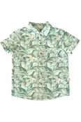 ALISTAIR BUTTON DOWN