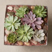 Live Inventory - Succulent Garden in Metal Container - $115 — Village Green Flowers & Gifts