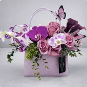 Fancy & Bella By Newport Florist NF-Y63