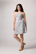 Beaded Dress in Silver