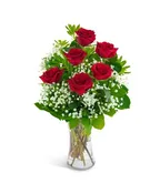 6 RED ROSES