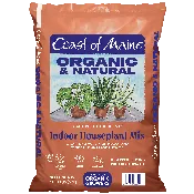 Coast of Maine Cape Neddick Houseplant Mix