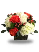 Lush hydrangea‏