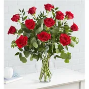 Premium One Dozen Red Roses