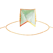 BowNet Portable Women's Lacrosse Crease