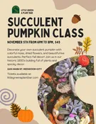 Succulent Pumpkin Class (November Session) — Little Green A Plant Bar