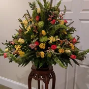 Sympathy 4