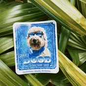 The DOOD Sticker — Salty Dog Surf Shop