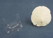 4 inch Display Easel Stands for Agate Slices and Shells - 12 pcs @ $2.00 each; 48 pcs @ $1.80 each