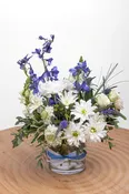 Blue and White Spirit