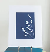 Cyanotype Botanical Printing Class