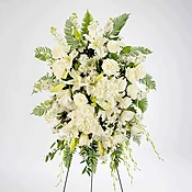 True Sympathy by BloomNation™