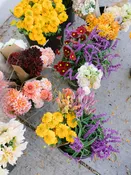 DIY Shopper's Pass (Early Access) — Piedmont Wholesale Flowers | Durham, NC