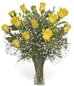 1 DOZEN YELLOW ROSES