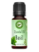 Basil Essential Oil 100 Percent Pure Ocimum Basilicum Steam Distilled From Leaves Therapeutic Grade Fragrance Oil