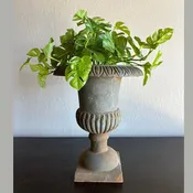 Vintage French Cast Iron Urn Planter