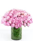 100 Peonies
