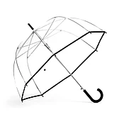 Auto Open 52" Arc Fashion Bubble Stick Umbrella