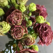 Brown Chocolate Lisianthus