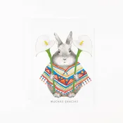 6 Pack - Muchas Gracias Bunny