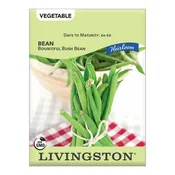 Livingston Seed Bush Bean Bountiful (Heirloom) Seed