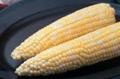 Ambrosia Sweet Corn Seeds
