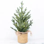 2 ft. Pre Lit Spruce Tree in Potted Burlap