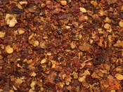 Carolian Reaper Chile Flakes