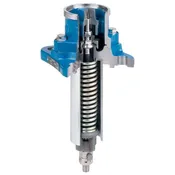 1108D Safety Relief Valve Arrangement