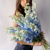 Blue Delphinium Bouquet – 11 Stems