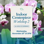 Indoor Centerpiece Workshop #2 - 11/18 at 5PM — Good Earth Garden Market
