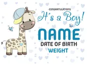 Baby Boy - Blue - Yard Sign