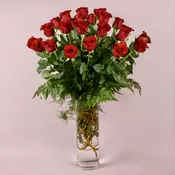 Classic Red Roses